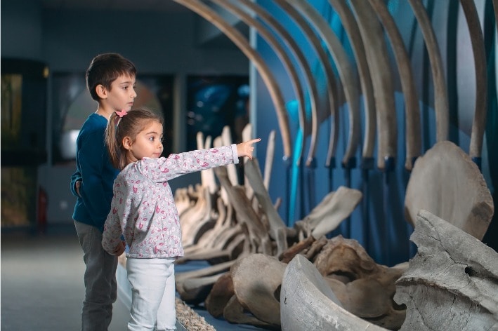 Two children looking at exhibit at museum.
