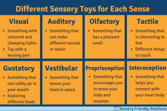 Infographic highlighting the different toys for the different senses.