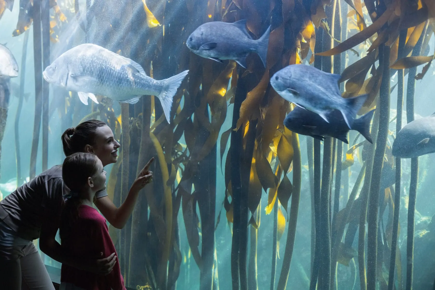 Mother and daughter at sensory-friendly aquarium looking at fish.