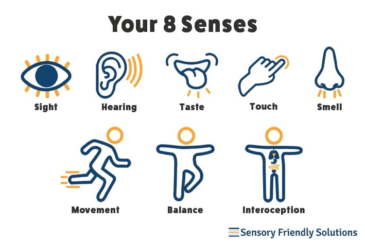 Graphics of the 8 senses including: sight, hearing, taste, touch, smell, movement, balance and interoception.