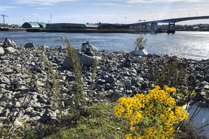 Small rock structures on the water front found along the Harbour Passage.
