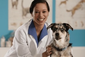 Vet smiling at sensory-friendly vet with dog.