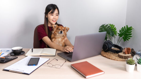 asian woman working remotely from home using laptop with a dog