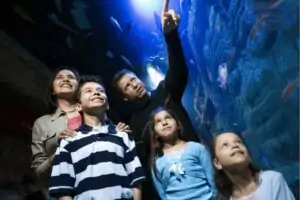 Family at sensory-friendly aquarium pointing at fish swimming.