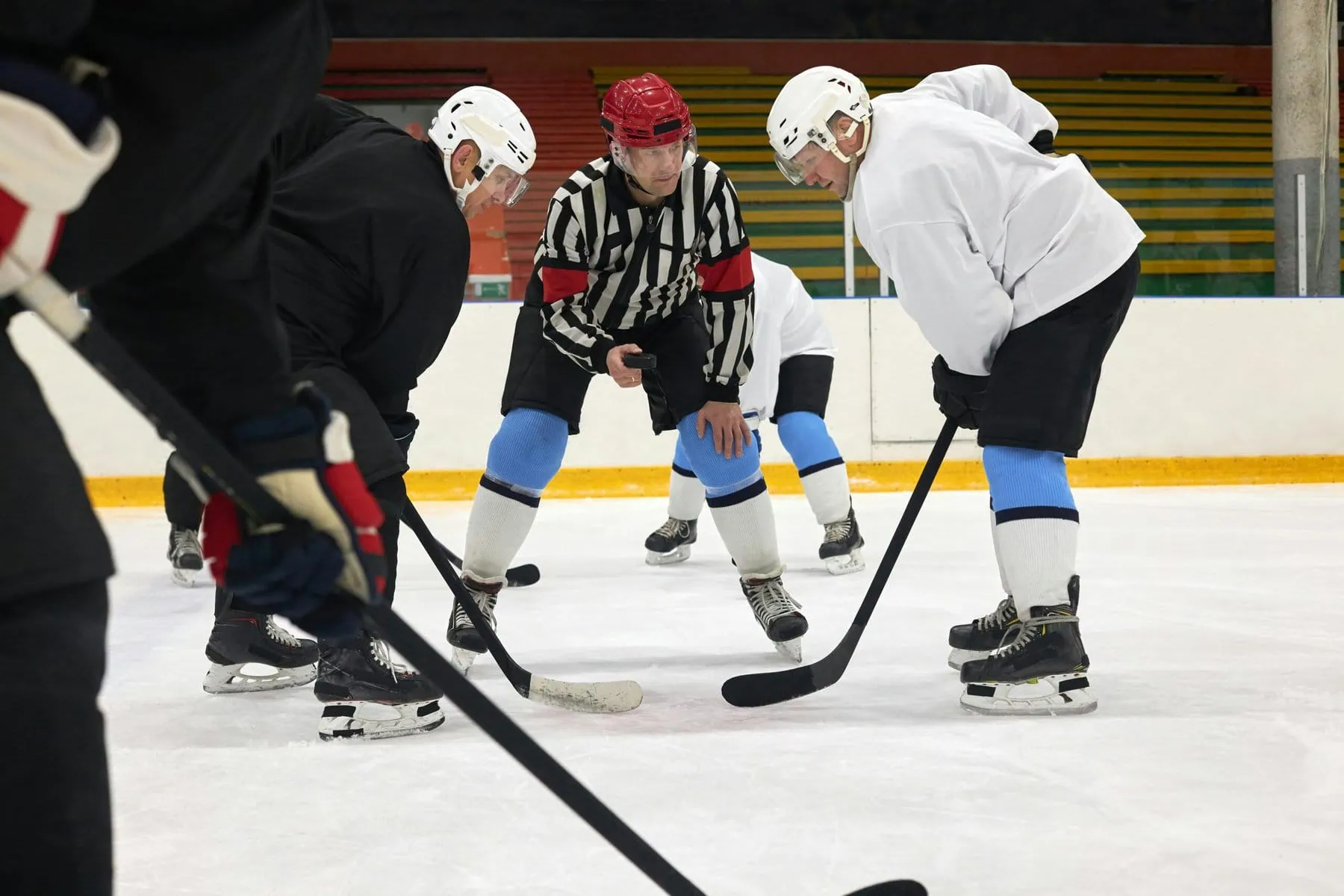 Referee about to drop the puck between two hockey players on the ice